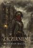 Obrazek dla: Zaczernienie